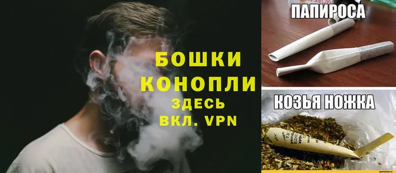 Бошки марихуана THC 21%  Вяземский 